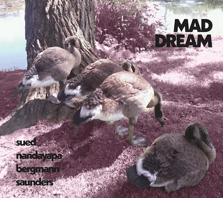 Cover for new album release Mad Dream