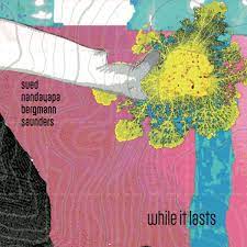 Cover for While It Lasts (Album)